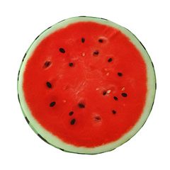 Fruity Cushion
