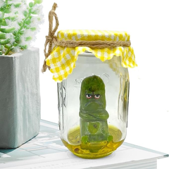 Grumpy Pickle In A Jar