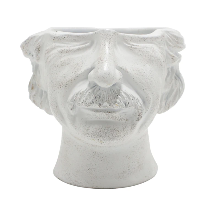 Iconic Mind Planter