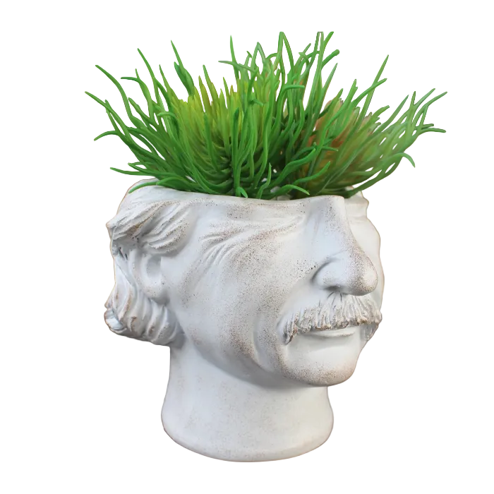 Iconic Mind Planter