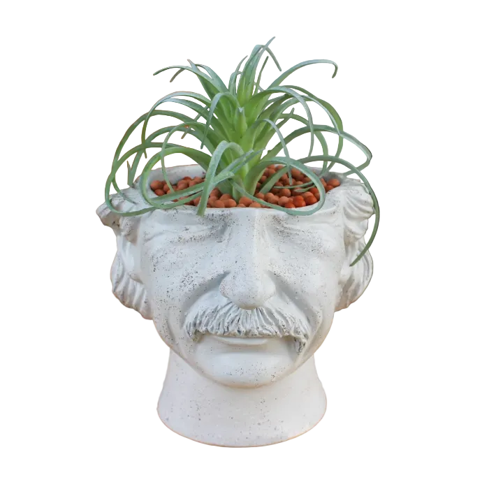 Iconic Mind Planter