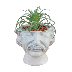 Iconic Mind Planter