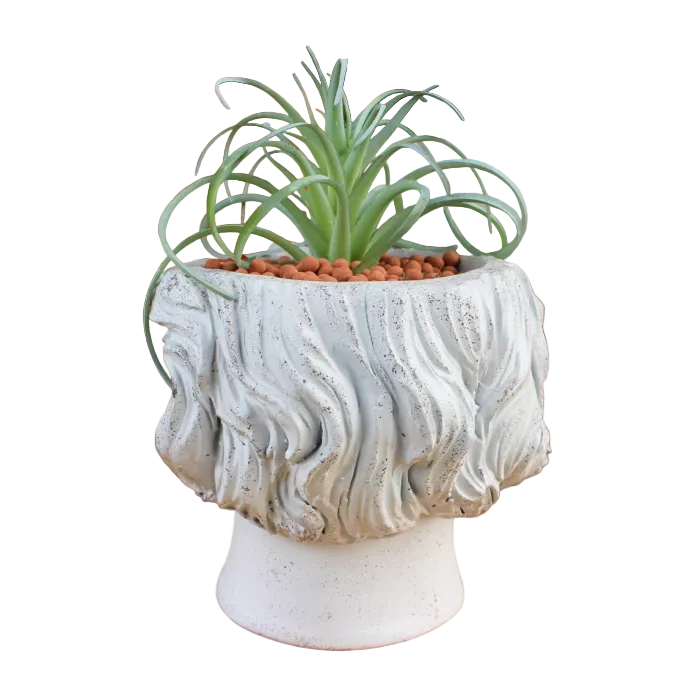 Iconic Mind Planter