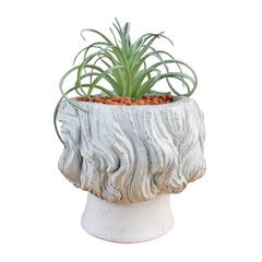 Iconic Mind Planter
