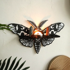 Death Moth Wall Shelf