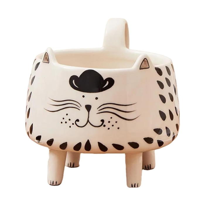 Crazy Cat Lady Mug