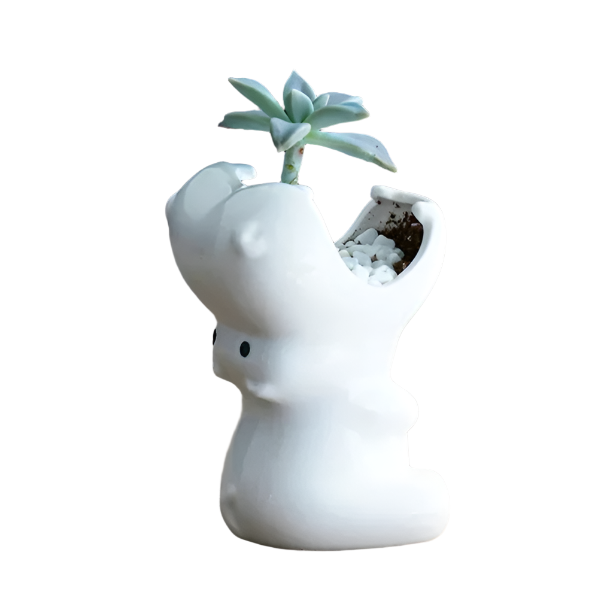 Hippo Ceramic Pot