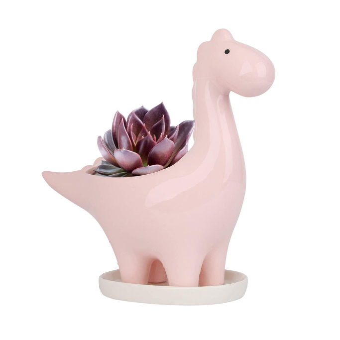 Dino Flower Pot