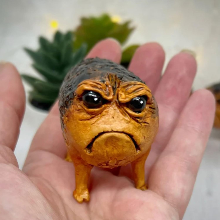 Grumpy Frog Room Decor