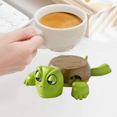 Funny Turtle Coaster