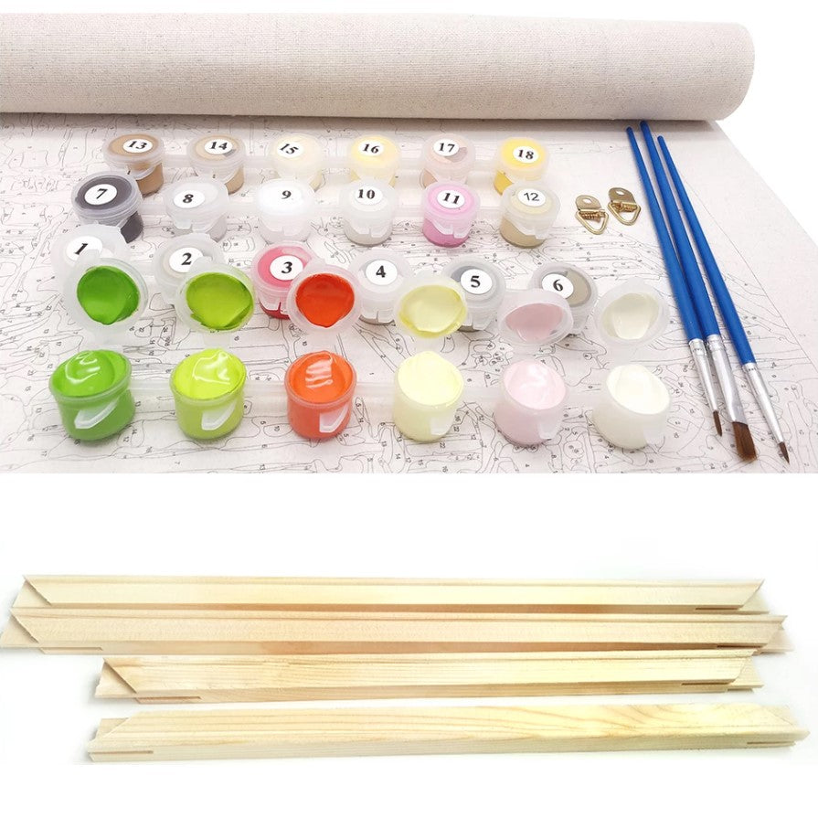 DIY Paint By Numbers